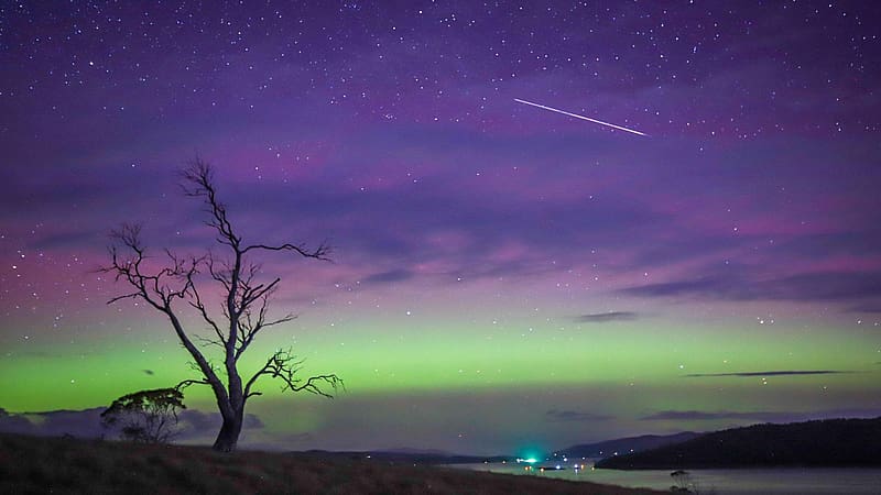 Aurora Australis - Tasmania, Australia, clouds, colors, landscape, tree, HD wallpaper