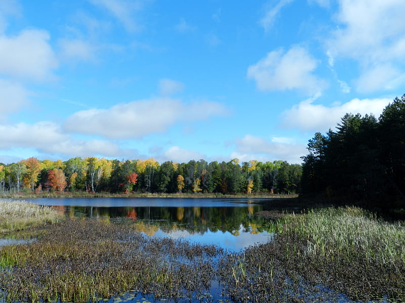 Algonquin Landscape, Sky, Back Road, Grass, Nature, Trees, Clouds ...