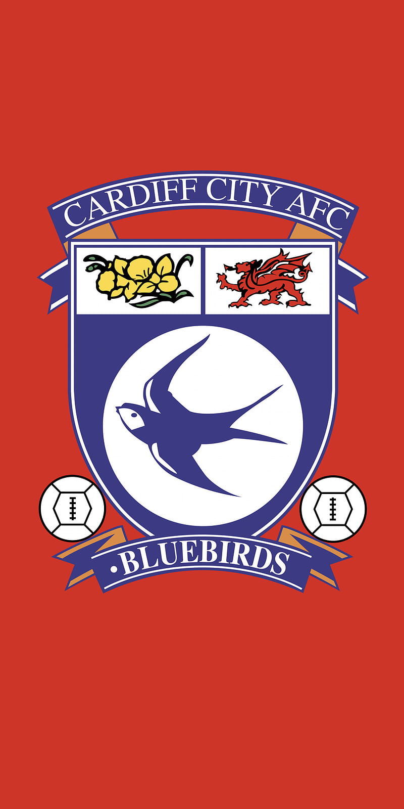 Cardiff City FC, logo, blue brick wall, Premier League, English football  club, HD wallpaper | Peakpx