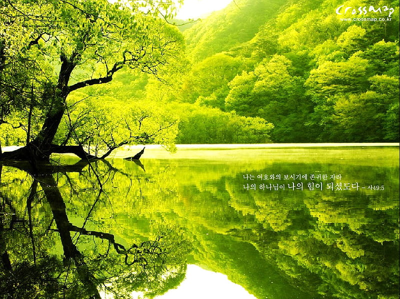 Reflection, 3d, digital, nature, bonito, earth, sky, HD wallpaper | Peakpx