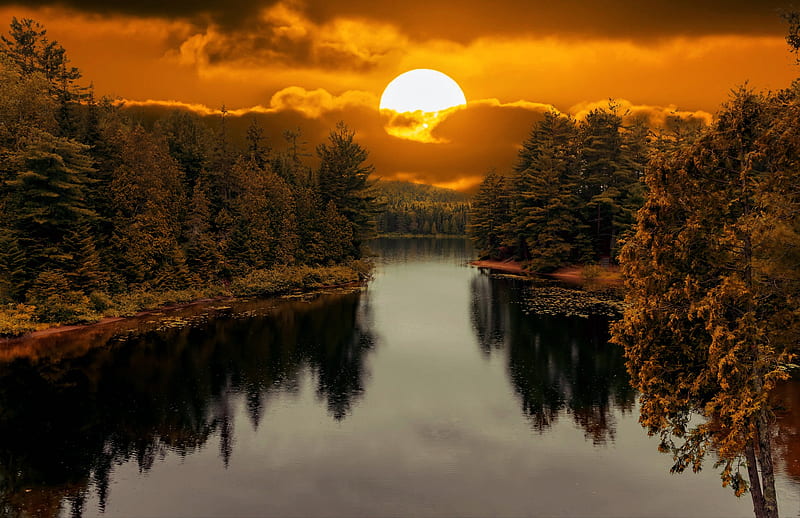 Earth, Sunset, Forest, Reflection, Sun, HD wallpaper