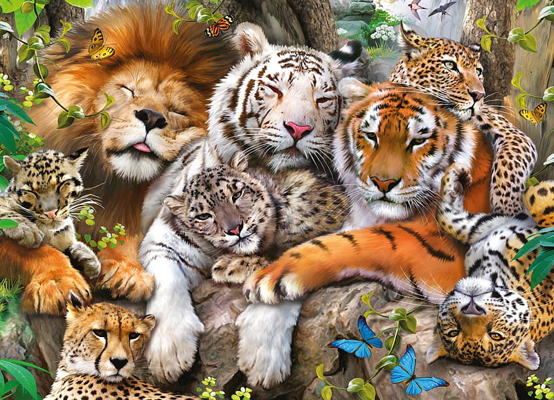 Big cats, leopard, cheetah, big cat, leu, tiger, sleeping, animal, lion,  butterfly, HD wallpaper | Peakpx
