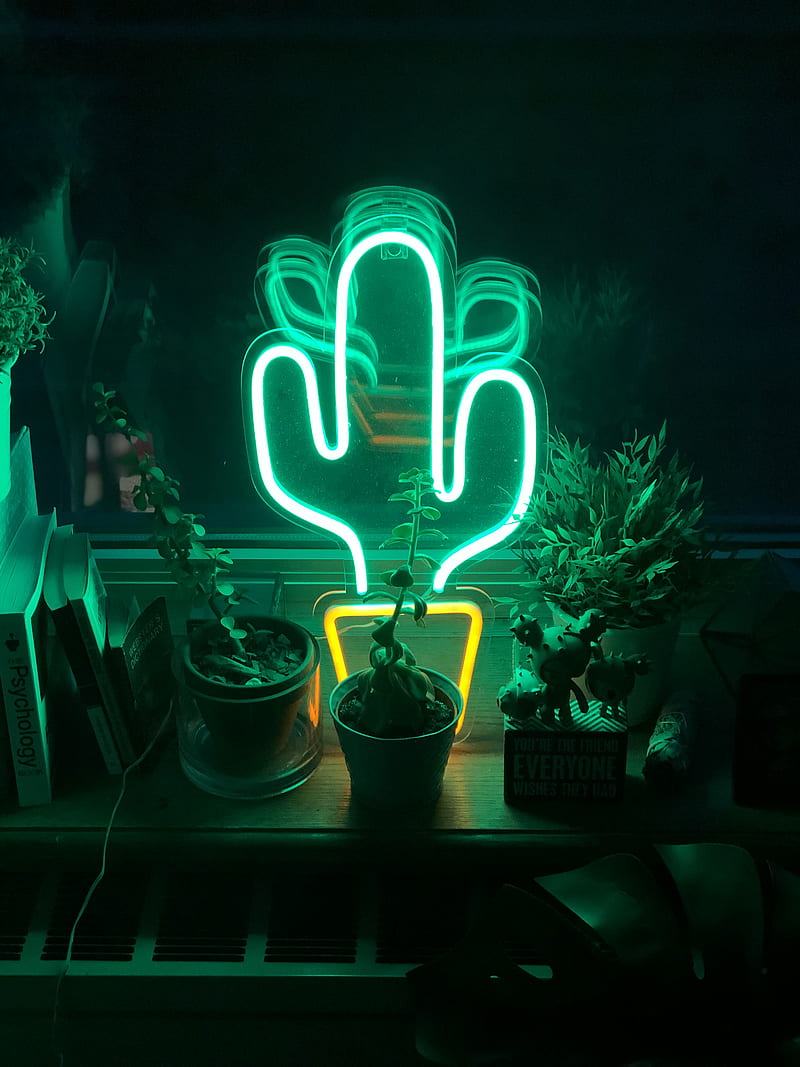 LED cactus neon light on table, HD phone wallpaper