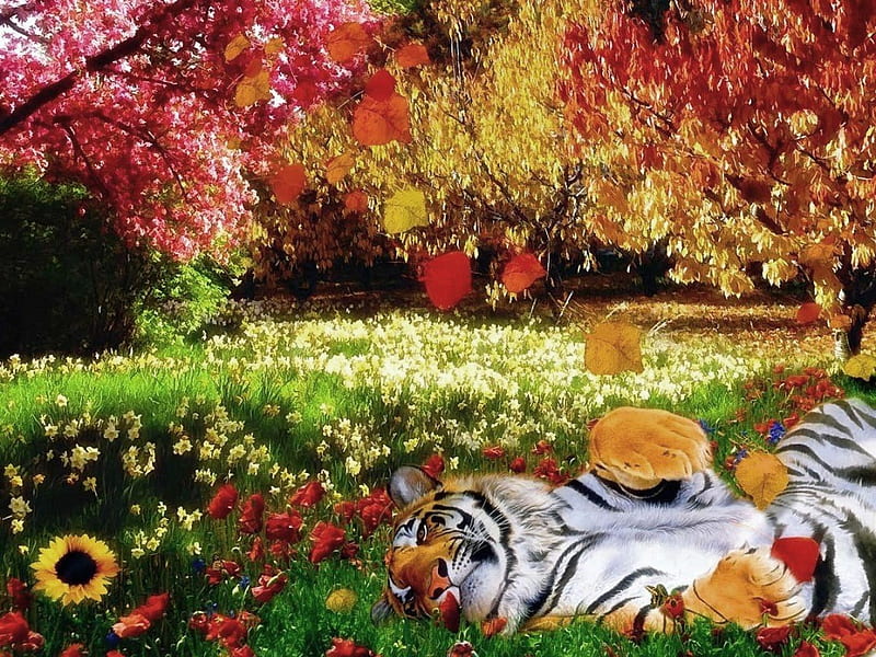 The fall of the tiger, red, autumn, relax, yellow, tiger, trees, play, leaves, green, plants, HD wallpaper