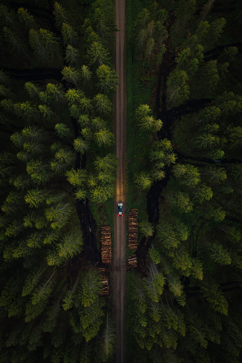 road, aerial view, car, forest, trees, HD phone wallpaper