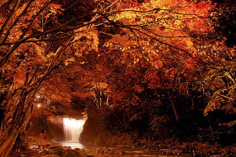 little forest waterfall in autumn, forest, autumn, fall season, waterfall, nature, HD wallpaper