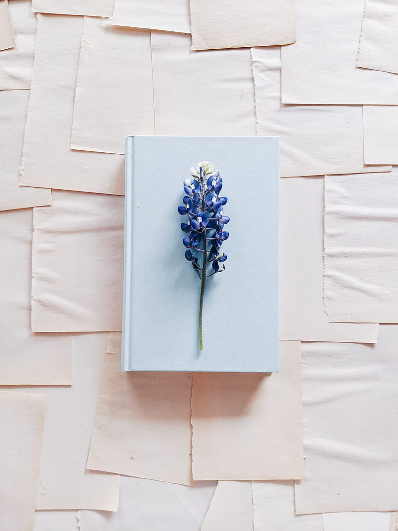 lupine, flower, book, paper, HD phone wallpaper