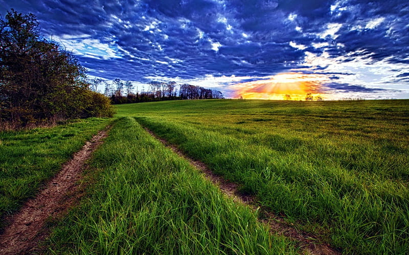 A Pleasant Sky, blu, sun, path, evening, beautiful sky, HD wallpaper |  Peakpx