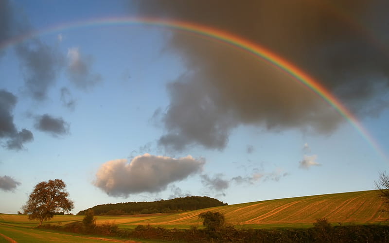 Rainbow, skies, nature, fields, HD wallpaper