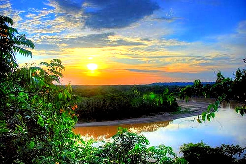 Amazon, sun, amazon river, rain forest, trees, HD wallpaper