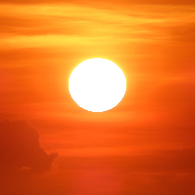 Sun rise, scene, sunset, HD phone wallpaper