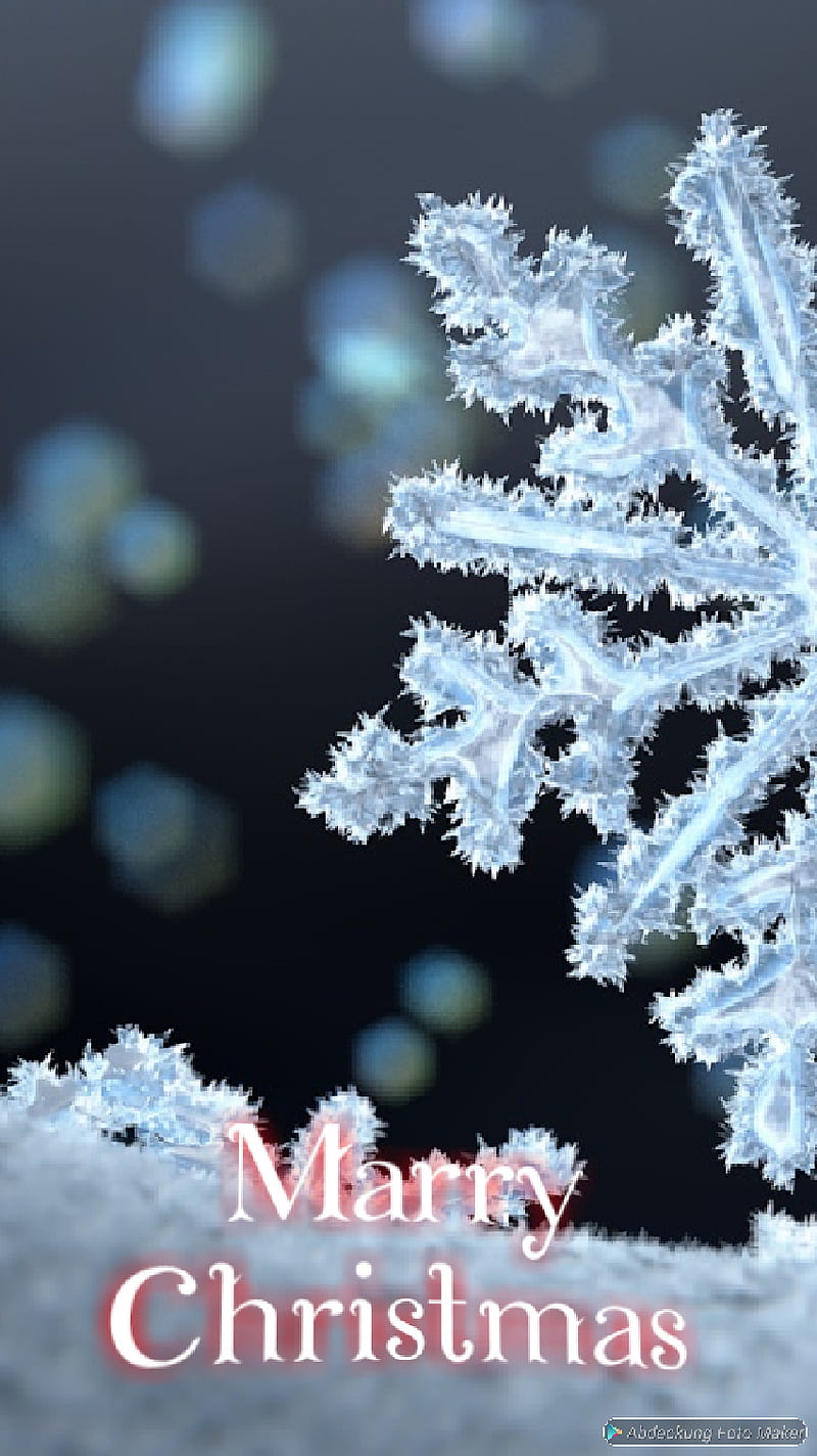 Marry christmas, buds, bud, winter, nature, flakes, natural, snow, leaf, weihnachten, christmas, HD phone wallpaper