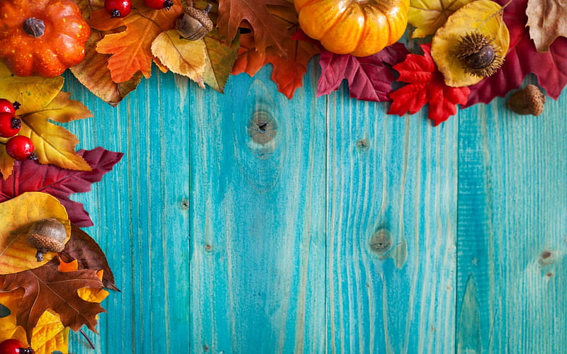 Autumn Border, border, autumn, wood, pumpkins, HD wallpaper | Peakpx