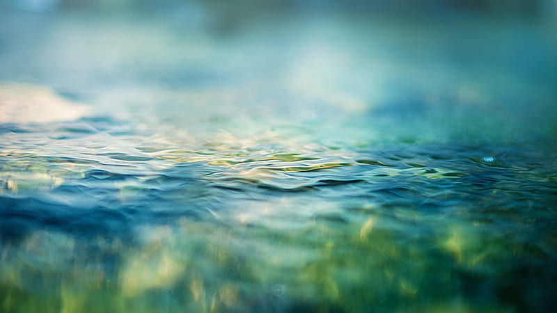 Depth of Nature, blur, nature, water, blue, HD wallpaper | Peakpx