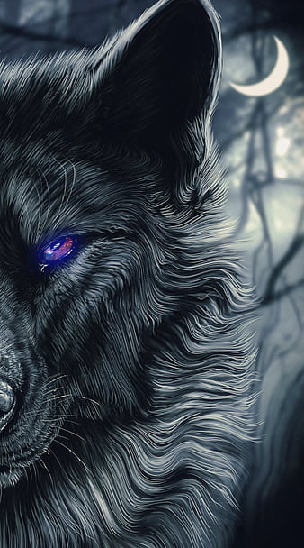 52 Anime Wolf Wallpaper Images Stock Photos  Vectors  Shutterstock