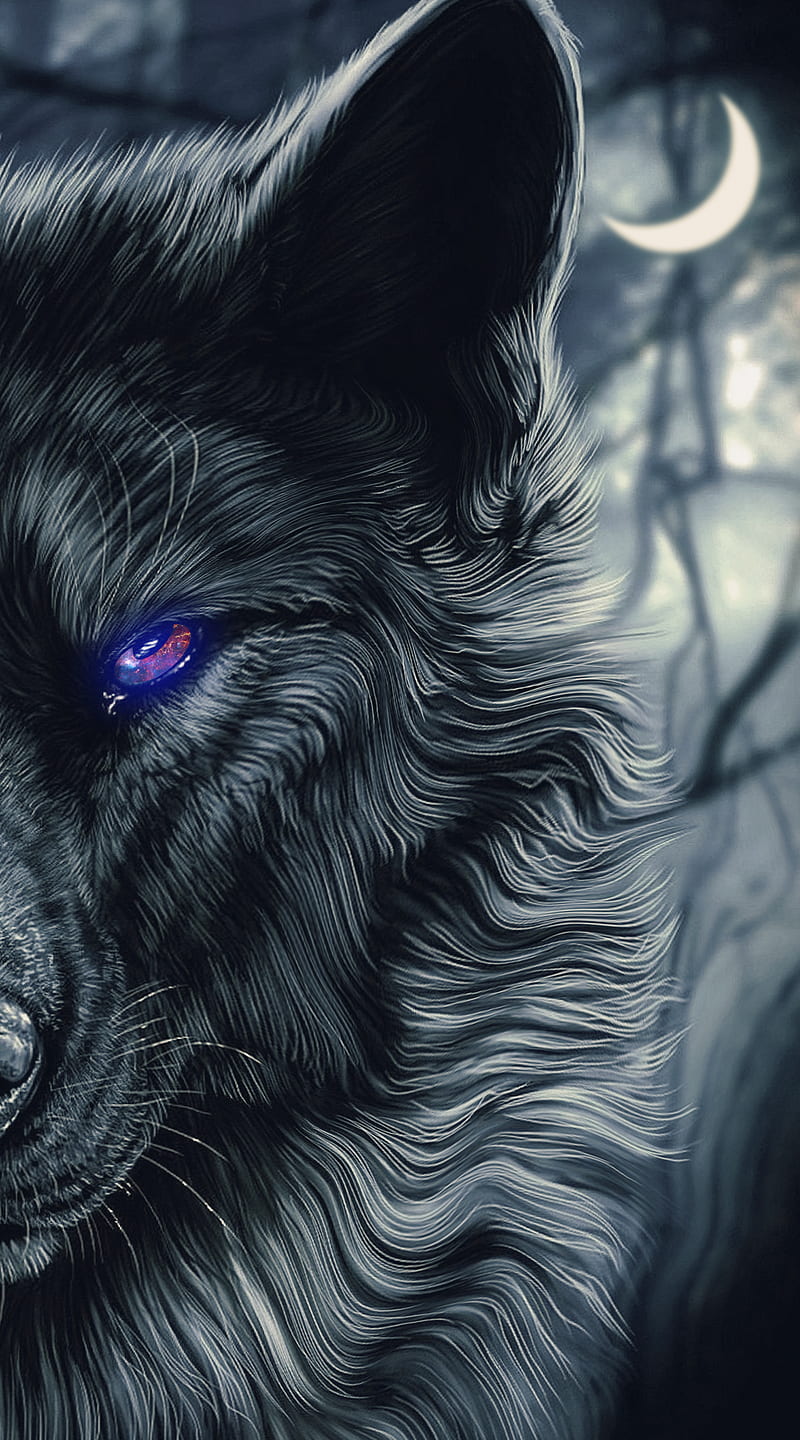 Top more than 73 black wolf wallpaper hd - xkldase.edu.vn