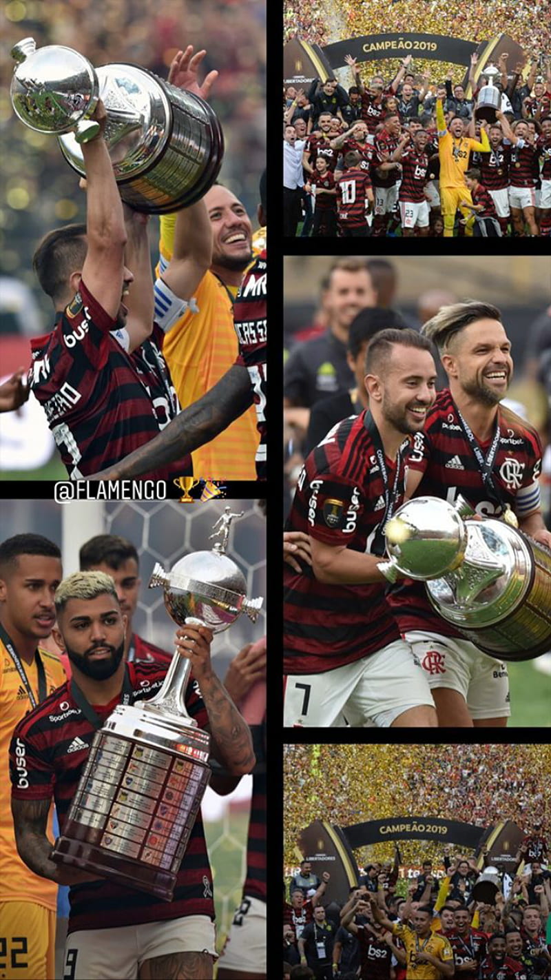 Flamengo 2019, 2019, brasileirao, conmebol libertadores, final unica, flamengo, lima, monumental, torcida, HD phone wallpaper
