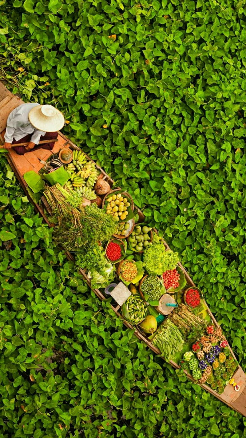 Vegetable Vendor, vegetables, HD phone wallpaper