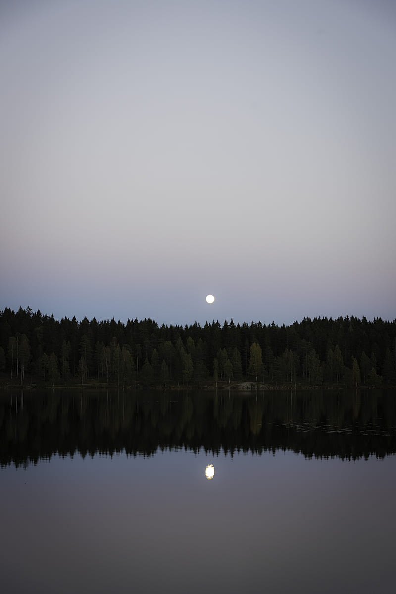lake, forest, moon, reflection, water, landscape, HD phone wallpaper