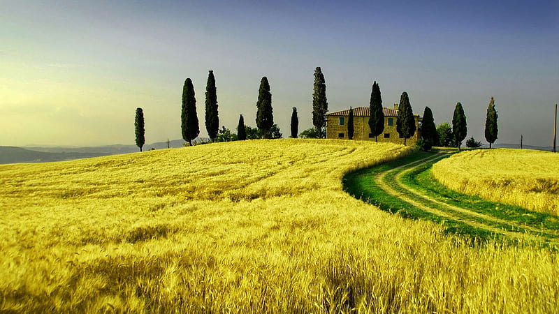Evergreen Tuscany, house, grass, trees, farm, green, path, nature, landscape, italy, tuscany, HD wallpaper