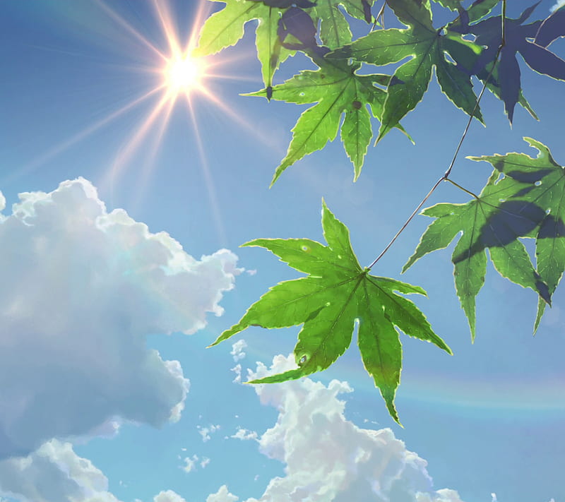 Sunny, anime, green, sky, sun, HD wallpaper
