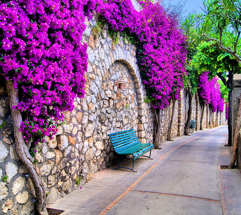 Italy, bonito, flowers, italy path, path, spring trees, HD wallpaper