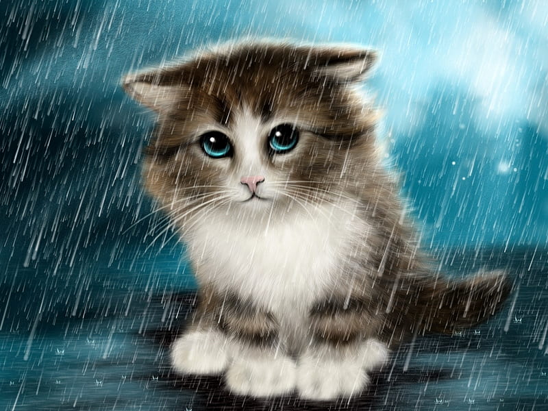 Cat in the Rain, sleet, wet, sadness, kitty, sorrow, rain, cat, animal, HD wallpaper