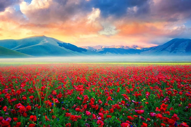 The Illusion Of A Moment, red, poppy, orange, Italy, bonito, spring, sky, clouds, green, mountains, flowers, sunrise, white, foggy morning, field, blue, HD wallpaper