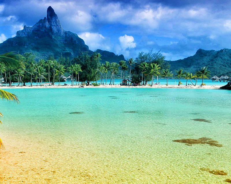 Bora Bora - một nơi tràn đầy màu sắc và ấn tượng, với những khu nghỉ dưỡng Polynesia đẹp như tranh vẽ. Hãy cùng Wallpapers.com đưa bạn đến một chuyến phiêu lưu đầy màu sắc và đam mê. Tận hưởng khoảnh khắc thư giãn tại một trong những điểm đến thật lý tưởng cho kỳ nghỉ của bạn.