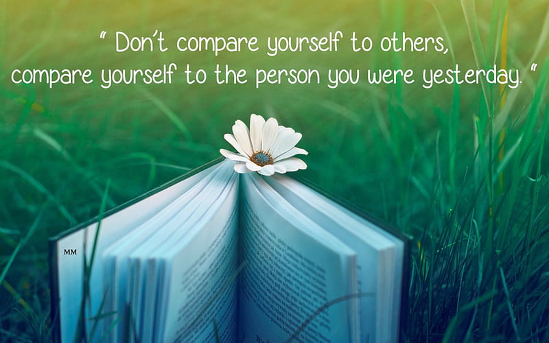 Don't Compare, Words, Sayings, Thoughts, Flowers, Sunflower, Nature, Quotes, HD wallpaper