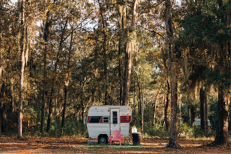 white van in forest during daytime, HD wallpaper