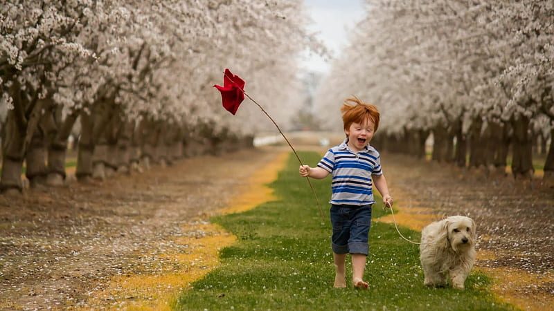 little boy, little, spring, run, baby, play, kid, tree, boy, child, dog, HD wallpaper
