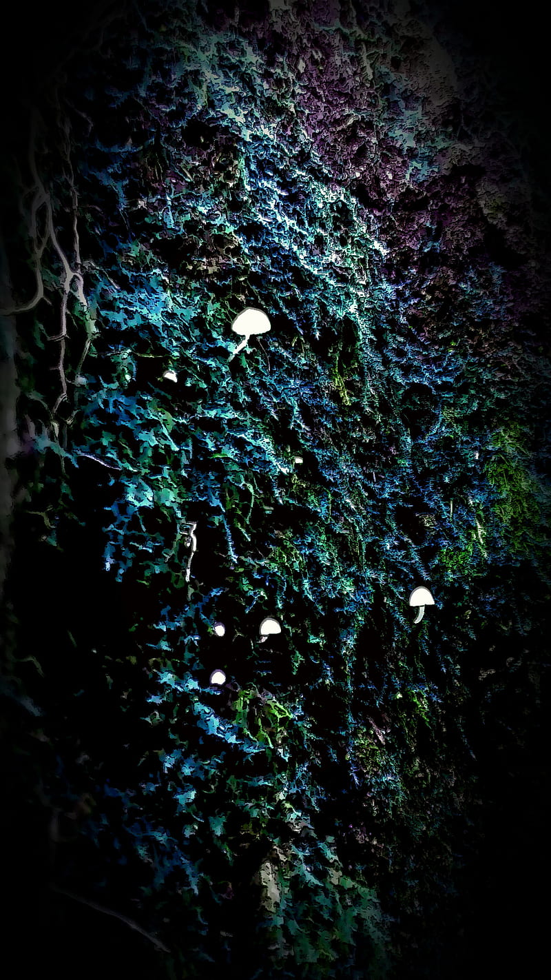 Neon Glowing Shrooms, clear white mushrooms, bright, HD phone wallpaper