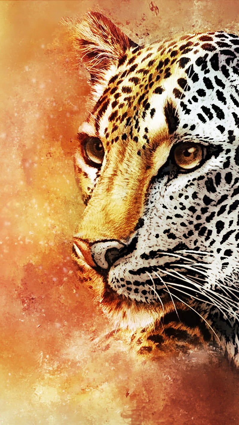 leopard, edge, s10, s7, s9, smudge, HD phone wallpaper