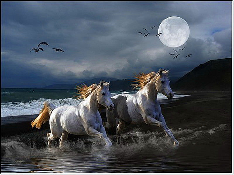 Wild on the beach ocean, waves, horses, pair galloping, beach, moon, wild, night, HD wallpaper