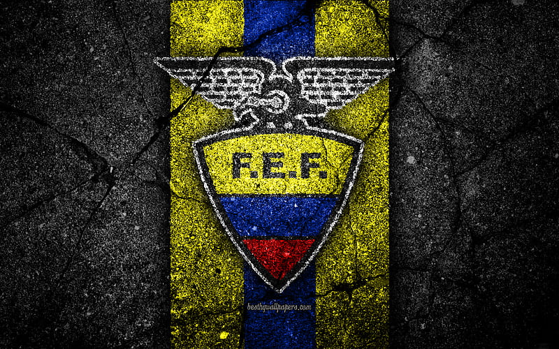 Ecuador national football team emblem, grunge, North America, asphalt texture, soccer, Ecuador, logo, South American national teams, black stone, Ecuadorian football team, HD wallpaper