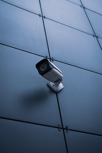 86,600+ Online Surveillance Stock Photos, Pictures & Royalty-Free Images -  iStock | Security system, Online security