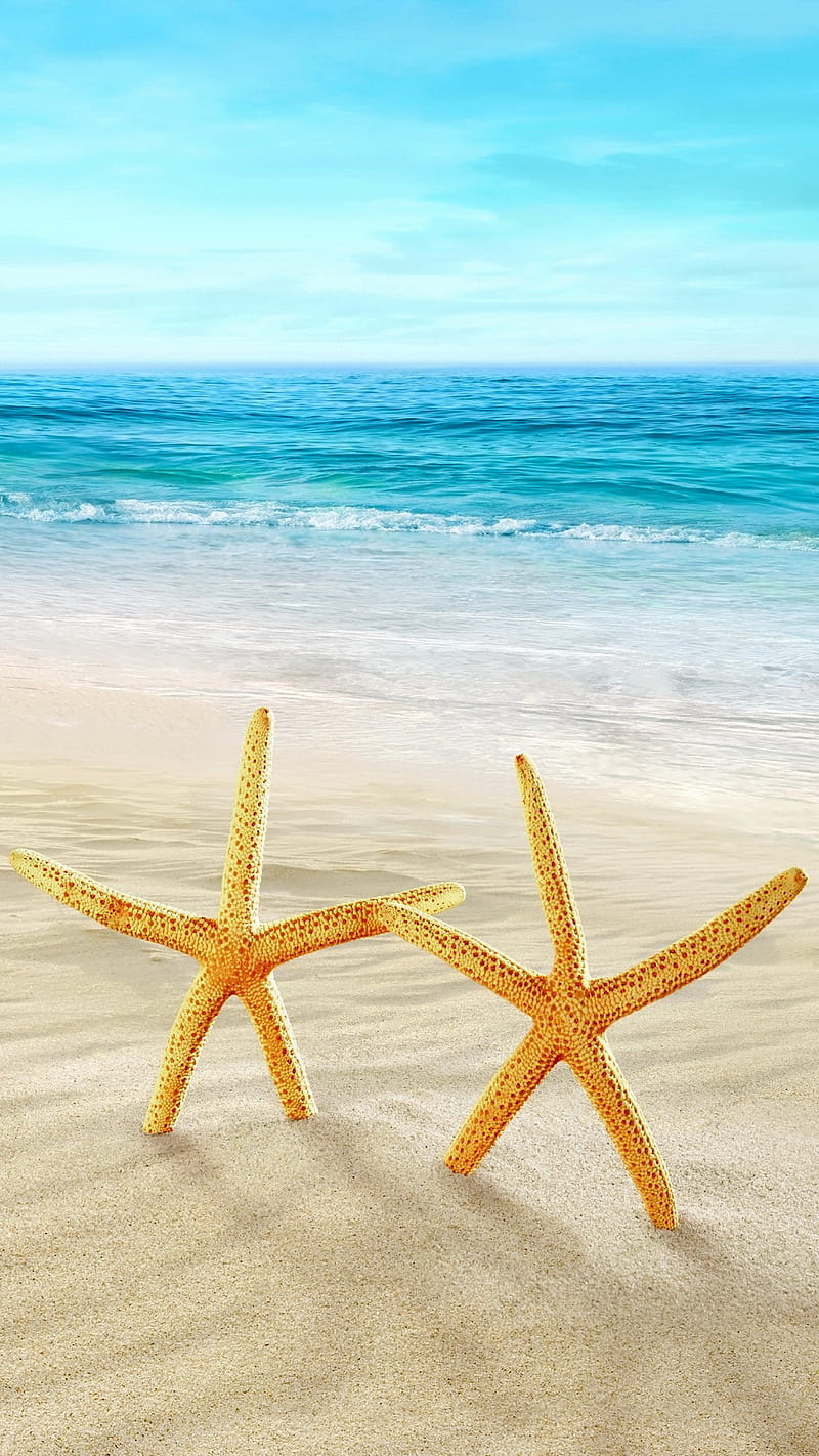 Starfish Family, beach, sand, sea, starfish, HD phone wallpaper