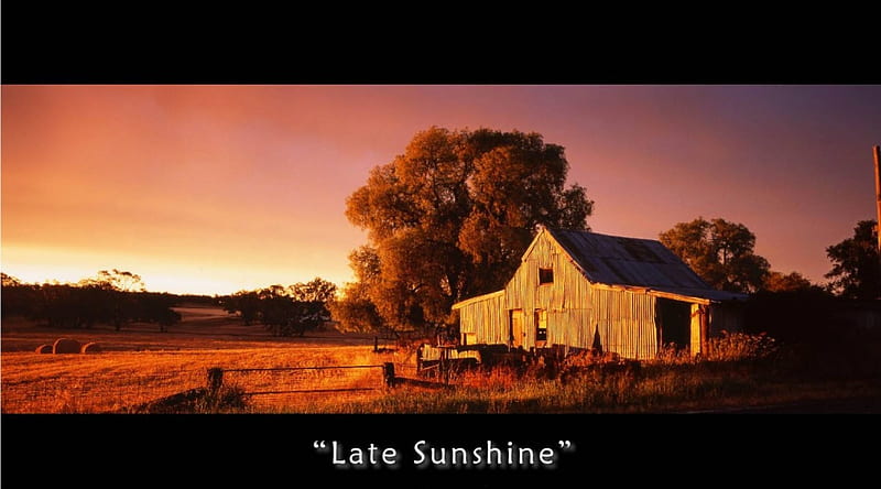 Late Sunshine, australia, dry grass, trees, homestead, HD wallpaper