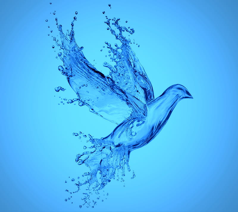 Aqua Bird, drops, splash, water, HD wallpaper