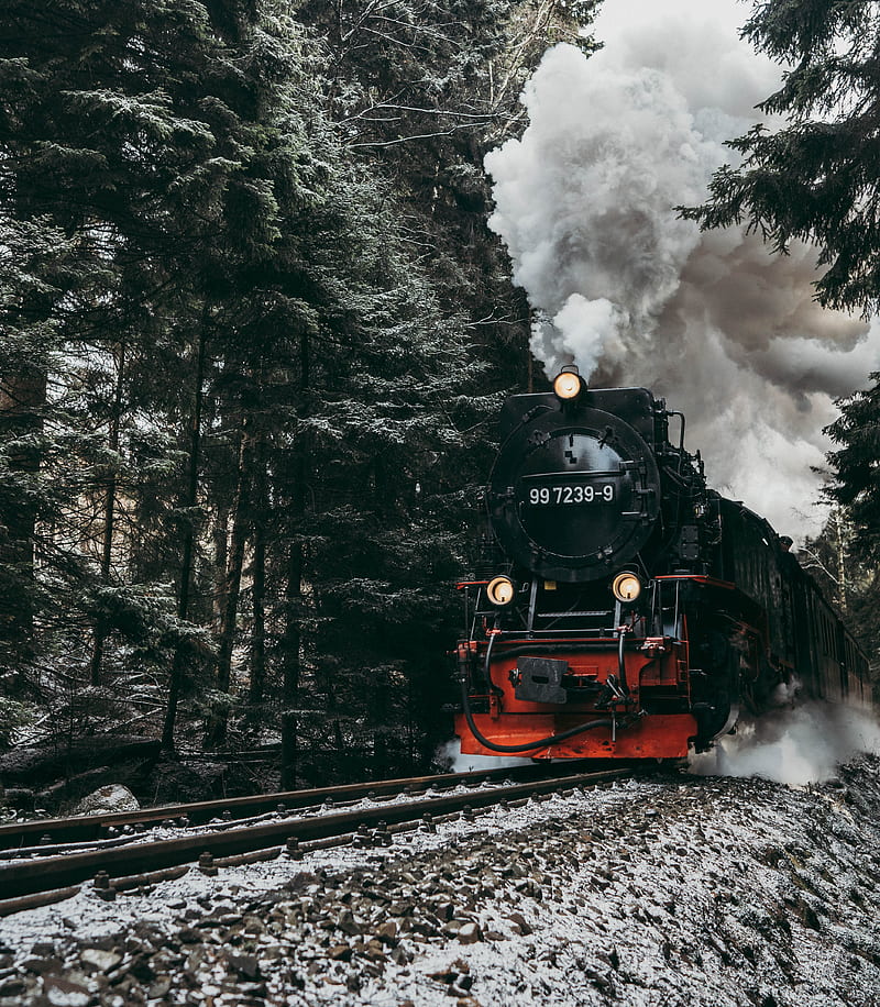 steam engine, train, smoke, rails, forest, HD phone wallpaper