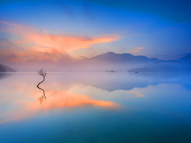 Dawn stillness, dawn, sky, clouds, lake, mist, tree, alone, calm, pink, blue, HD wallpaper