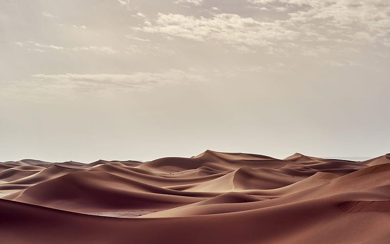 Sahara Desert in Summer, HD wallpaper | Peakpx