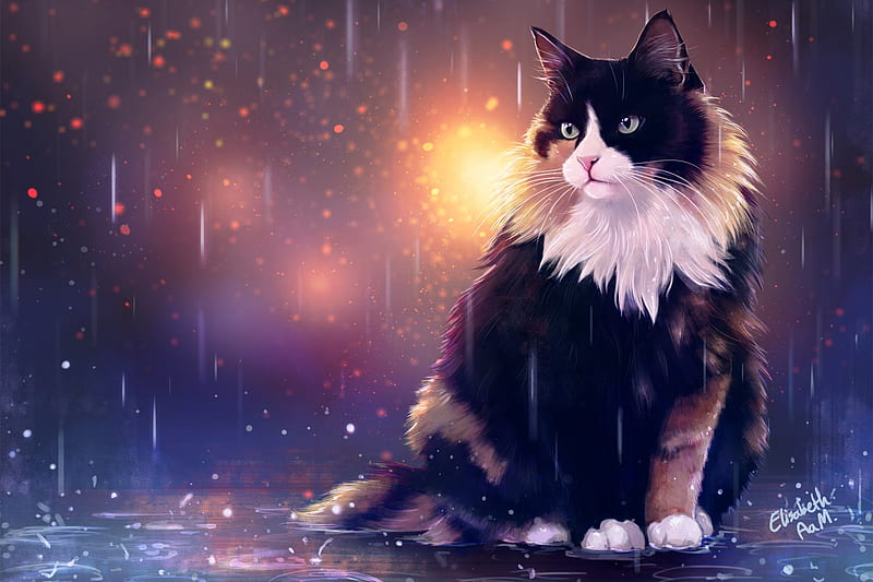 Autumn cat, Animal, Drops, Art, rain, HD wallpaper | Peakpx