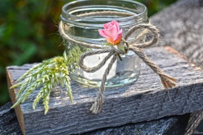 ░❀░, candle, moments, romantic, clear, rose, vase, small, still life, jar, r, pink, outdoor, light, HD wallpaper