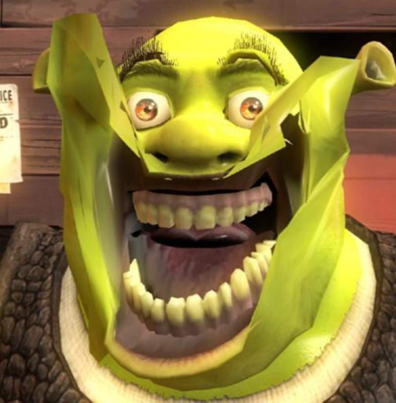 Download Funny Shrek Embarrassed Meme Wallpaper