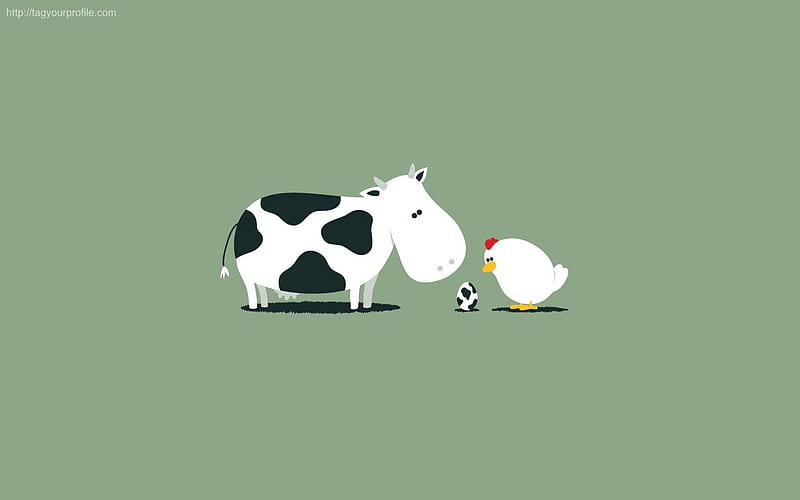 Cow+chicken, egg, cow, chicken, HD wallpaper