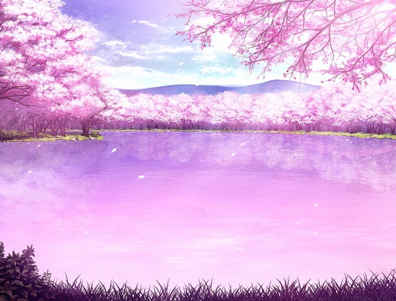 Blossom Lake, pretty, scenic, sakura blossom, plant, bonito, floral, cherry blossom, sweet, blossom, nice, beauty, scenery, pink, sakura, forest, lovely, lake, pond, tree, water, flower, nature, scene, HD wallpaper