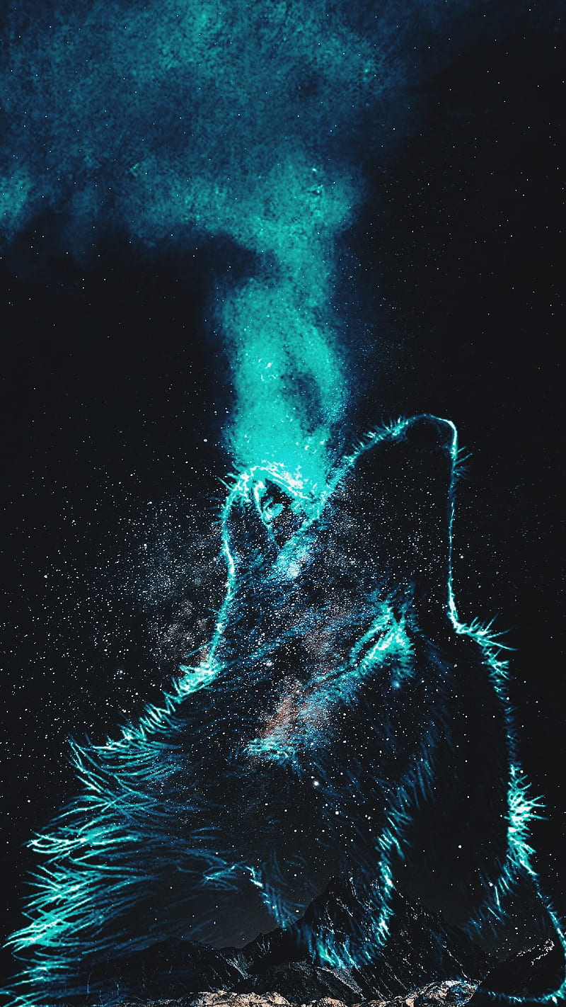 Wolf, animals, aullando, bestia, lobos, moon, manada, night, the best, the wolf, HD phone wallpaper