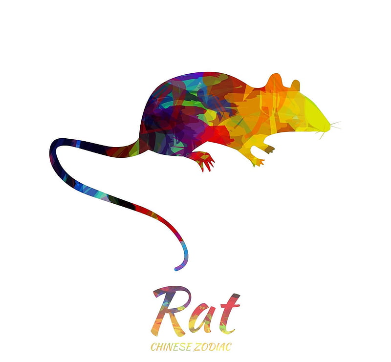 Chinese Zodiac ~ Rat, white, chinese, zodiac, colorful, vexels, rat, HD wallpaper